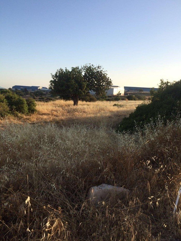 (Industrial) in Ypsonas, Limassol for Sale