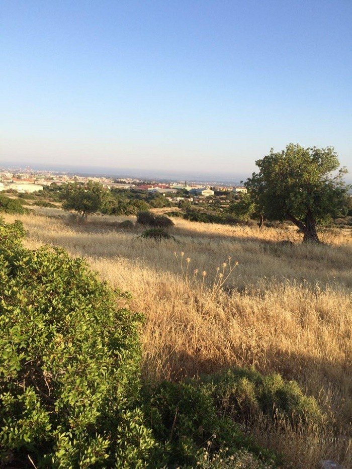 (Industrial) in Ypsonas, Limassol for Sale