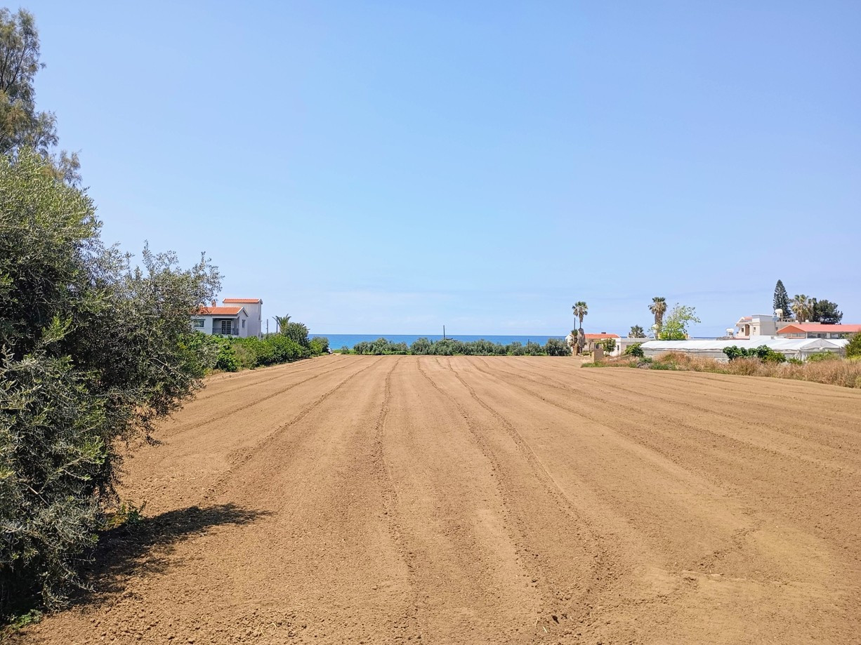 (Residential) in Agia Marina Chrysochou, Paphos for Sale