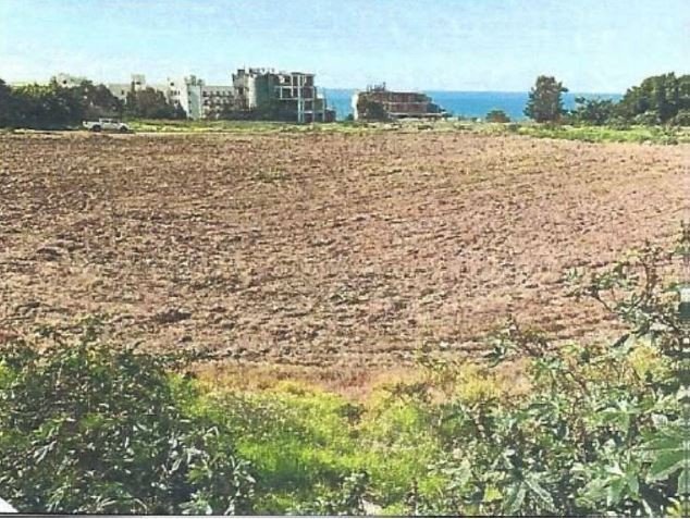 (Tourist) in Tombs of the Kings, Paphos for Sale