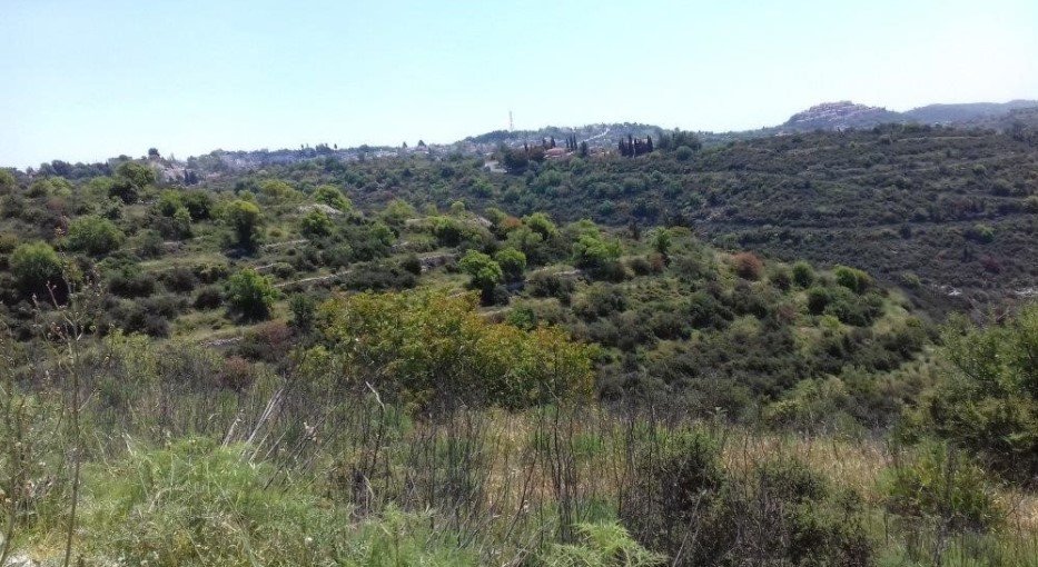 (Residential) in Tsada, Paphos for Sale