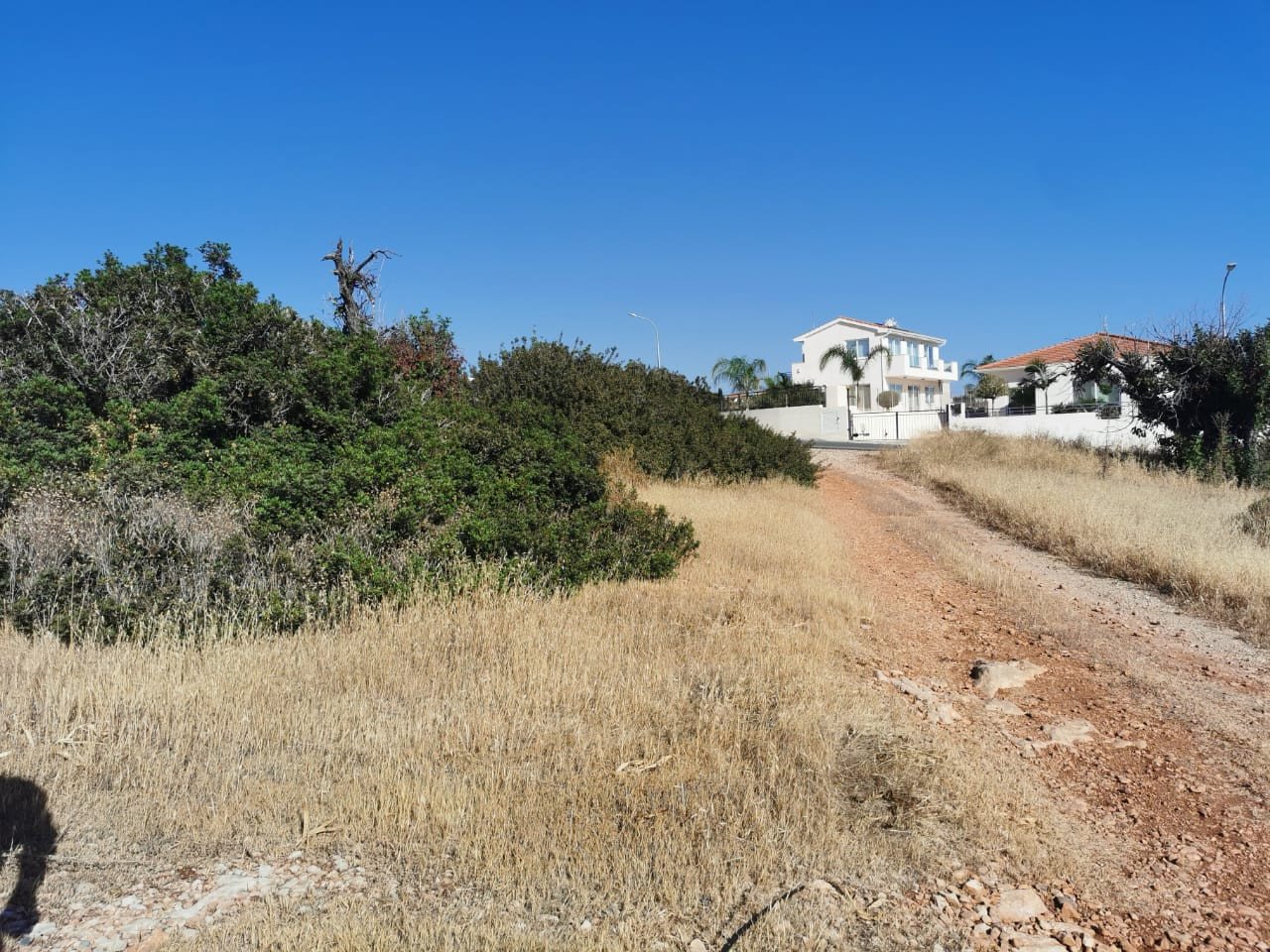 (Residential) in Pegeia, Paphos for Sale