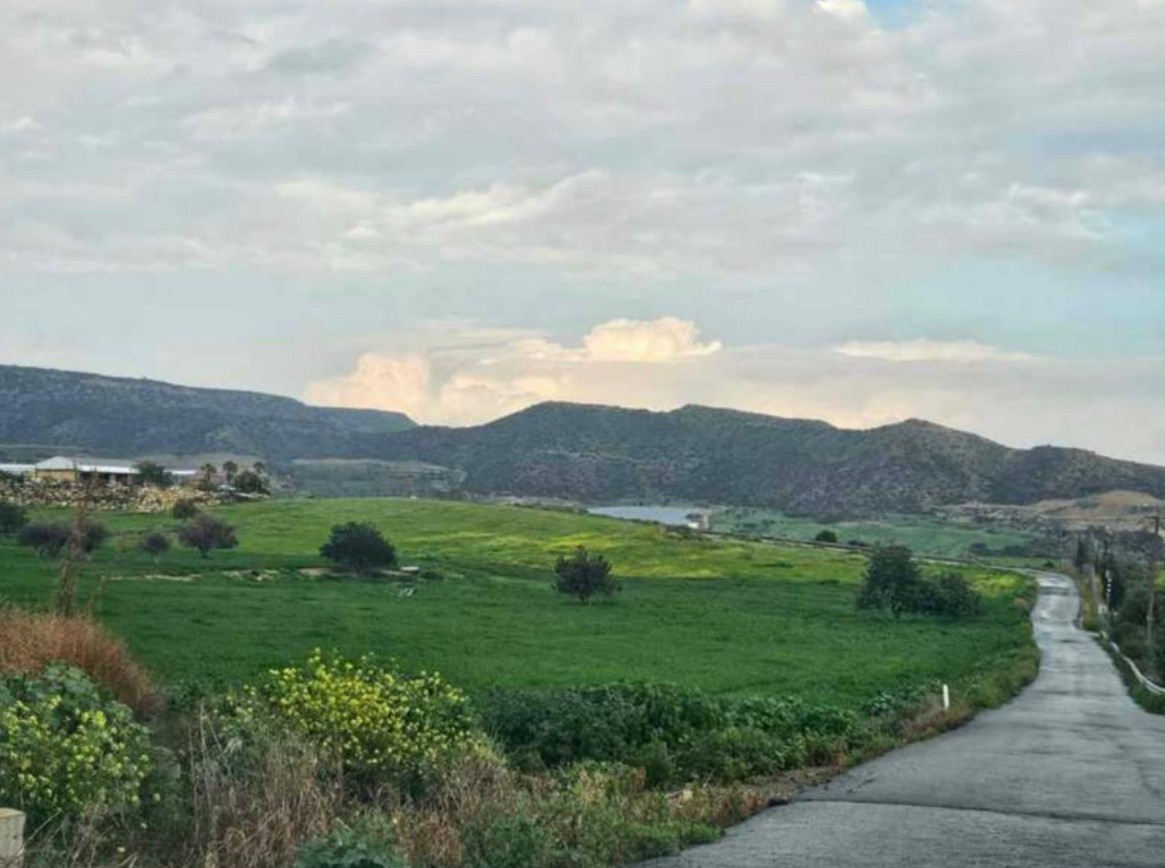 (Agricultural) in Maroni, Larnaca for Sale