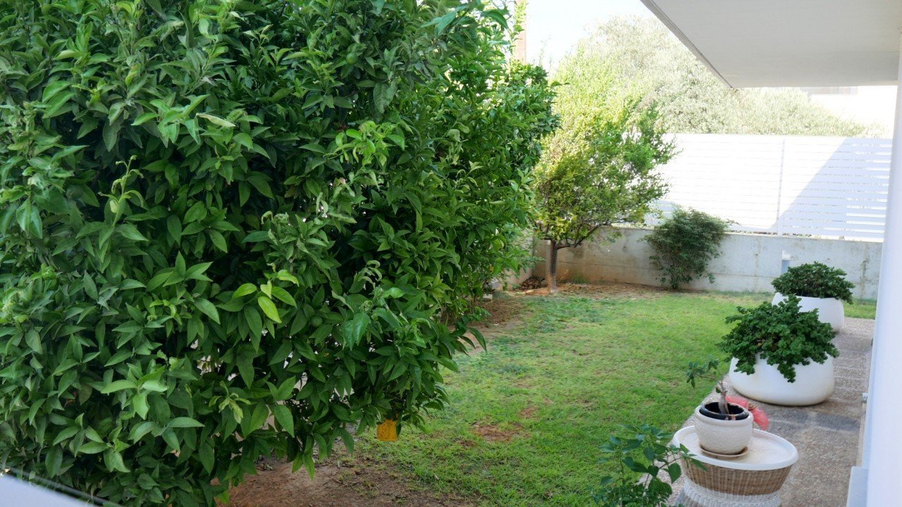 House (Semi detached) in Papas Area, Limassol for Sale
