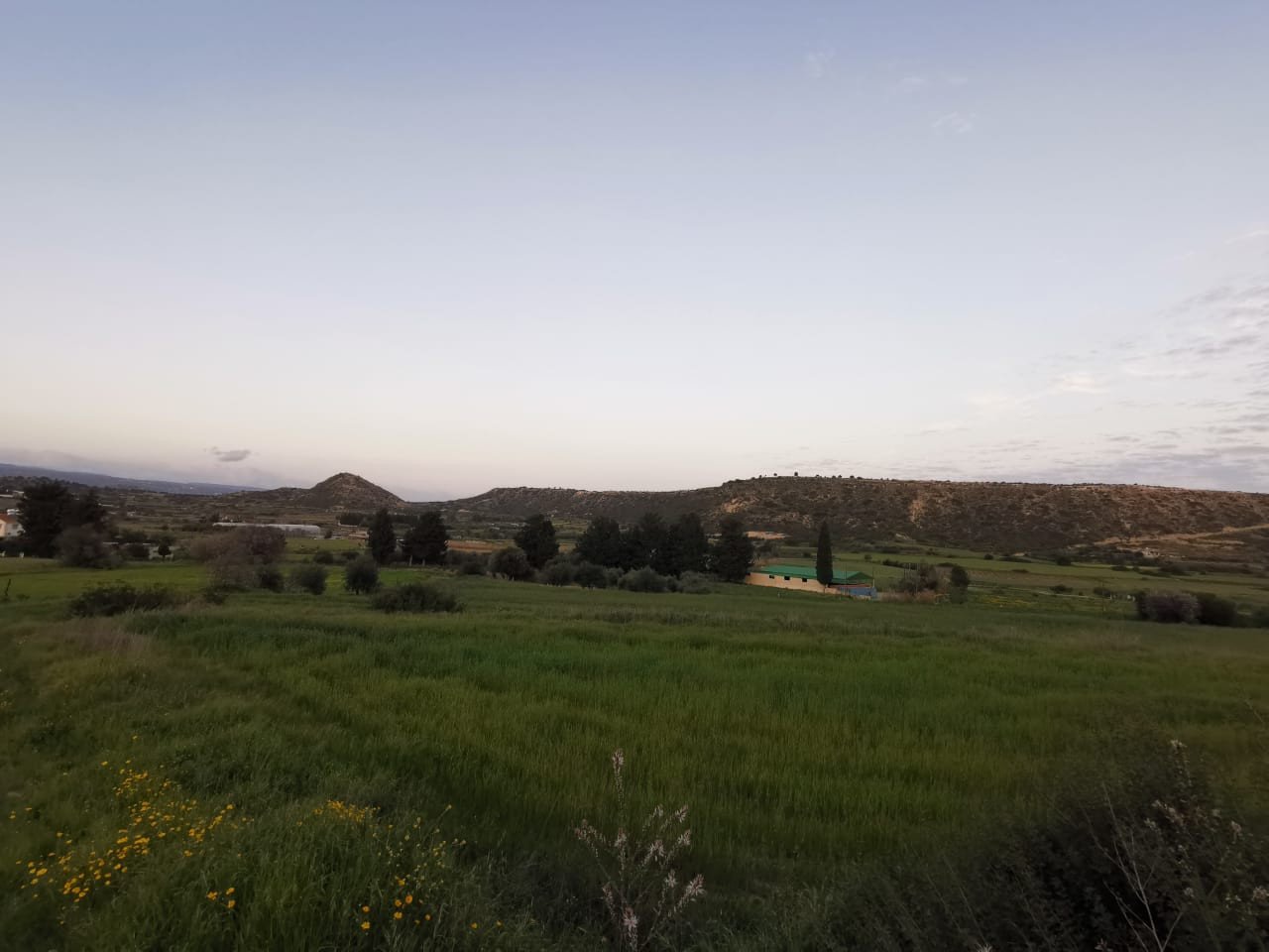 (Residential) in Pissouri, Limassol for Sale