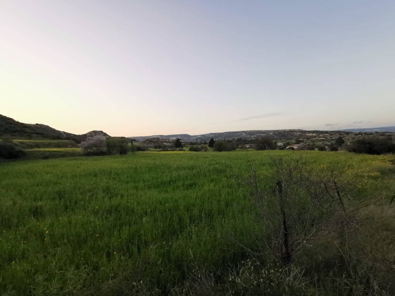 (Residential) in Pissouri, Limassol for Sale