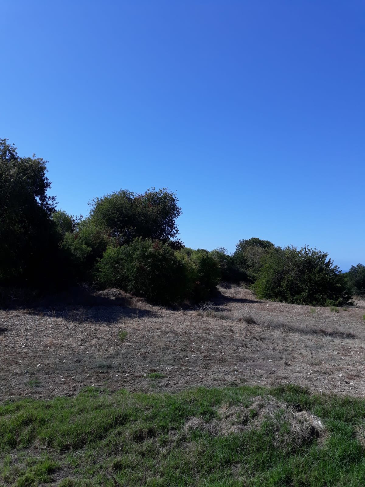 (Agricultural) in Trachypedoula, Paphos for Sale
