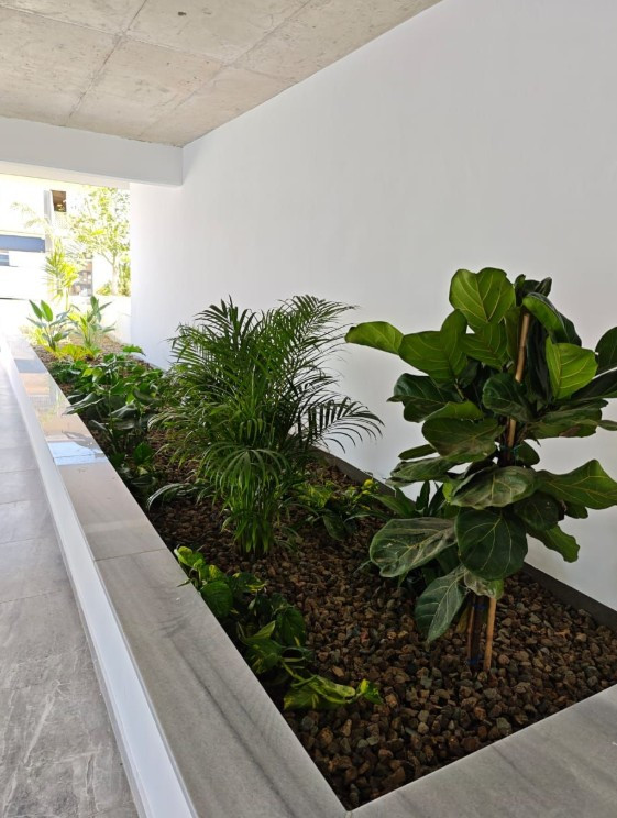 Apartment (Flat) in Agios Ioannis, Limassol for Sale