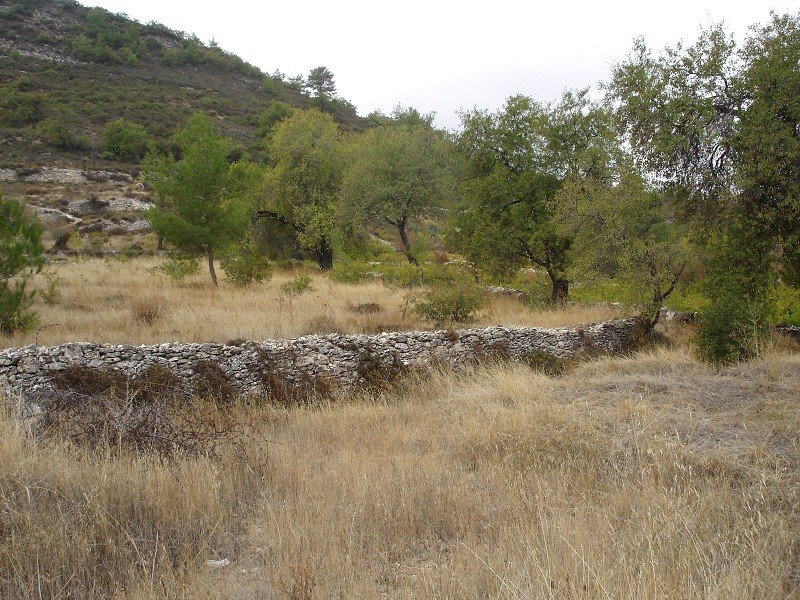 (Residential) in Pera Pedi, Limassol for Sale