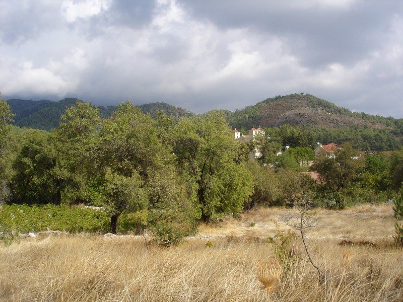 (Residential) in Pera Pedi, Limassol for Sale