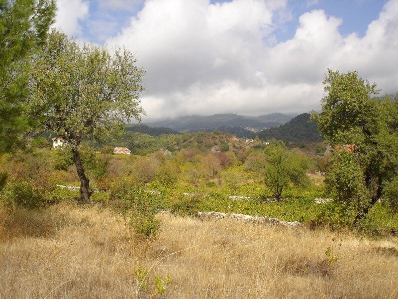 (Residential) in Pera Pedi, Limassol for Sale