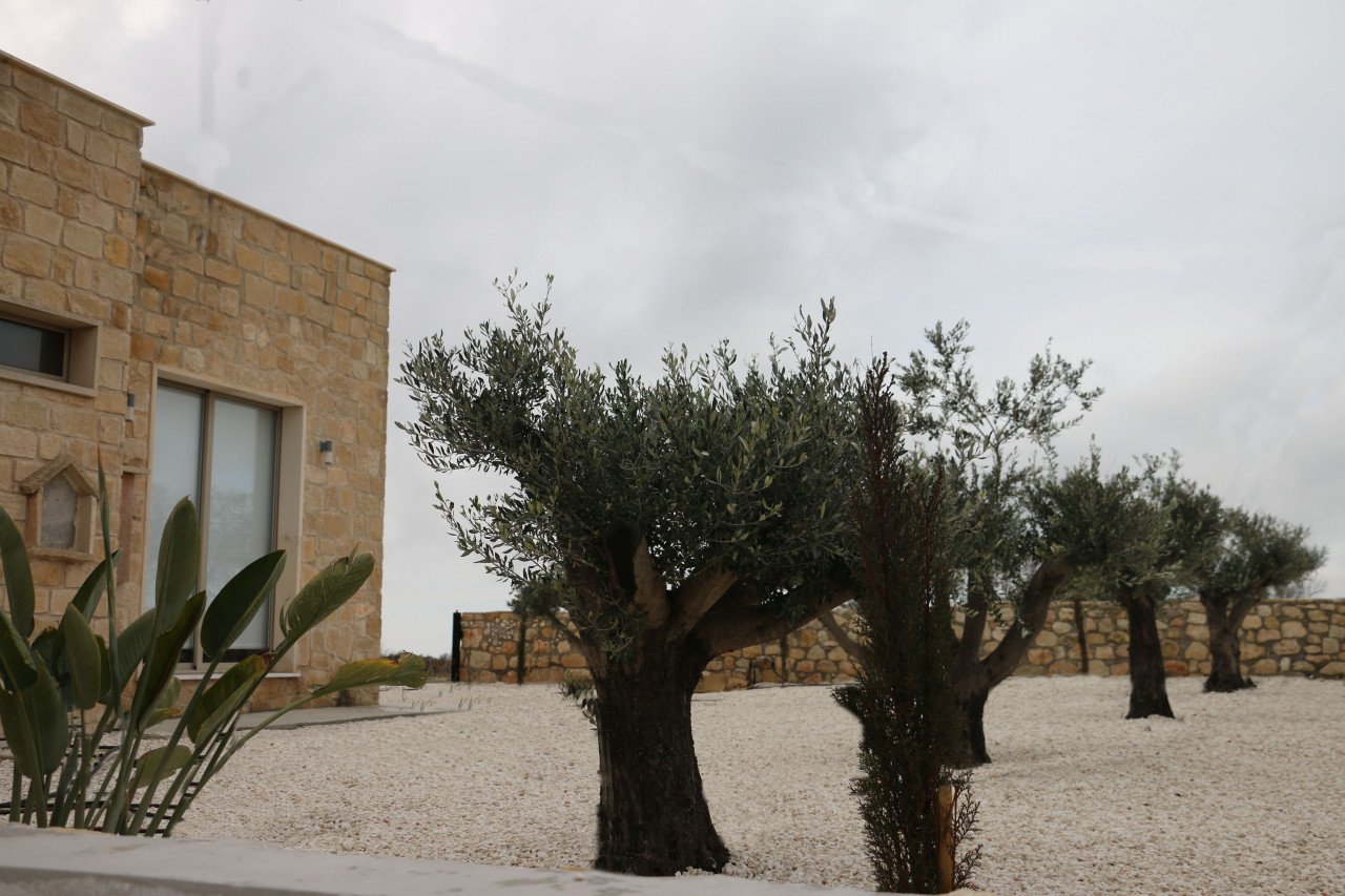 House (Detached) in Pano Arodes, Paphos for Rent