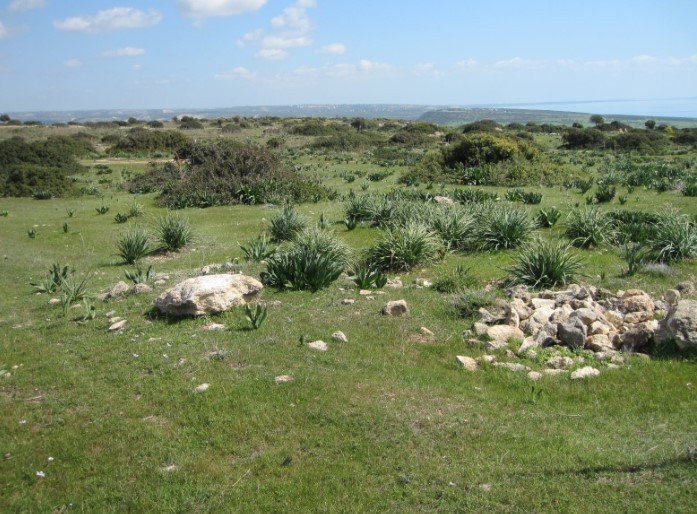 (Residential) in Pissouri, Limassol for Sale