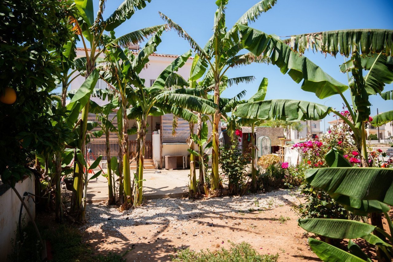 House (Detached) in Agia Napa, Famagusta for Sale