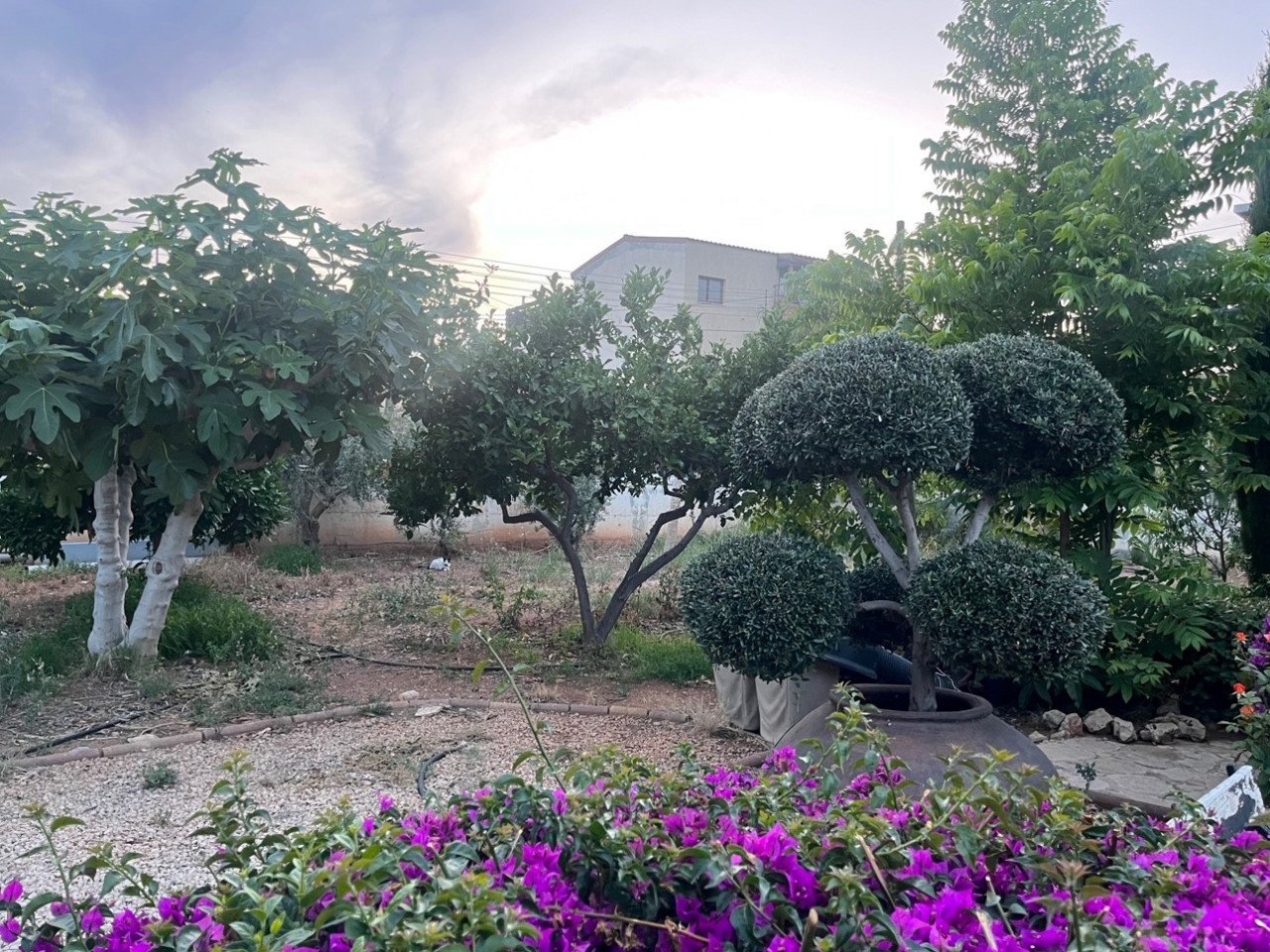 (Residential) in Zakaki, Limassol for Sale