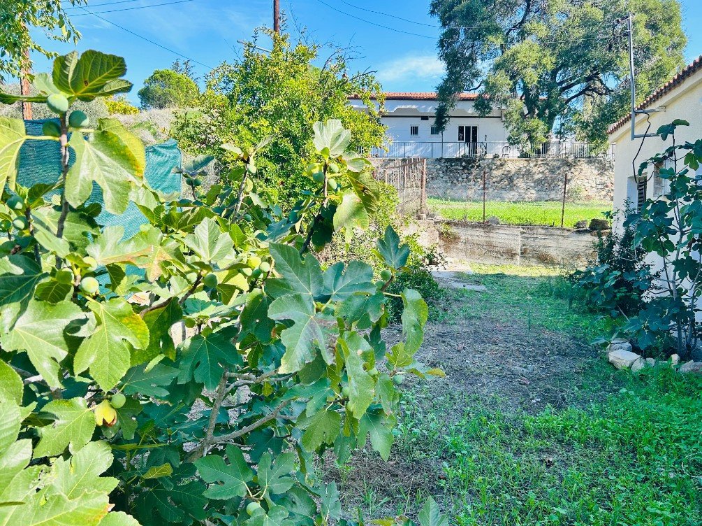 House (Detached) in Ora, Larnaca for Sale