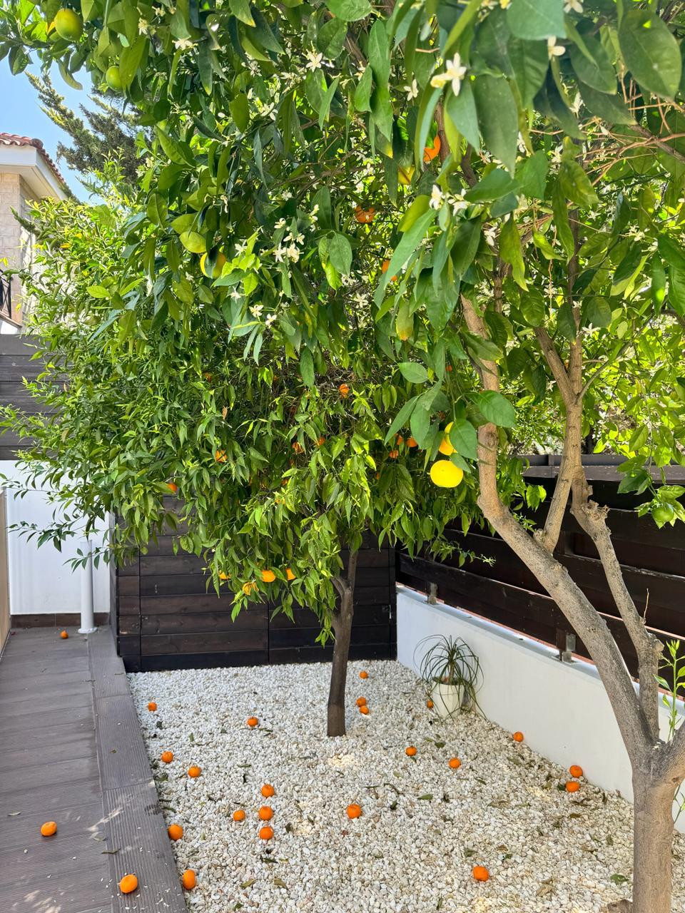 House (Detached) in Park Lane Area, Limassol for Sale