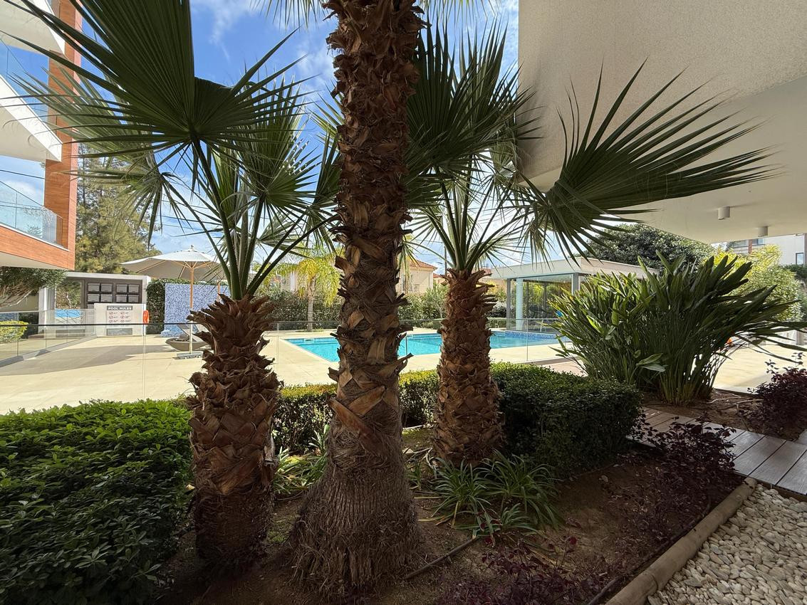 Apartment (Flat) in Papas Area, Limassol for Sale