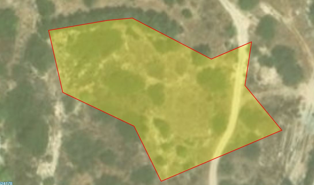 (Agricultural) in Amathounta, Limassol for Sale