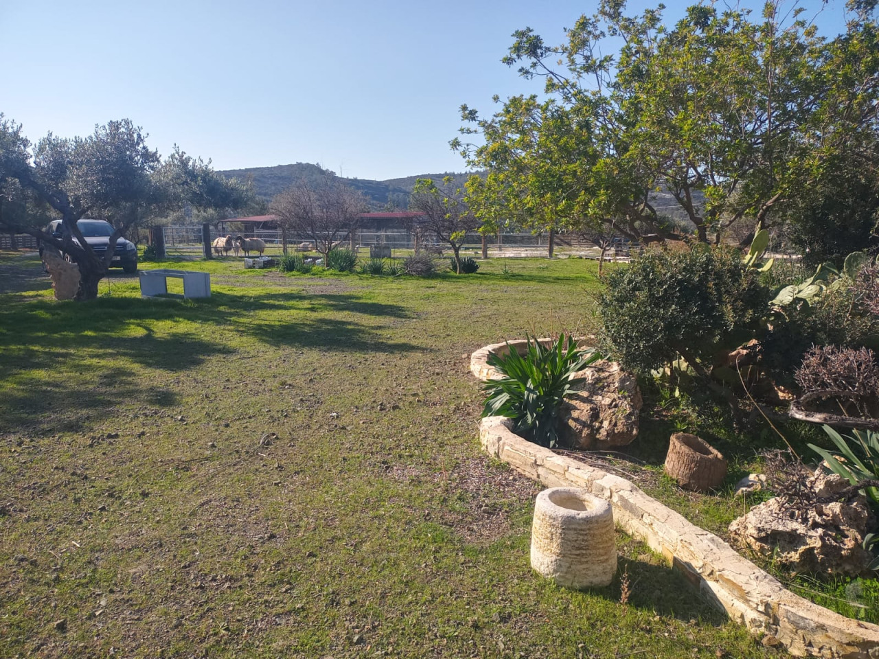 House (Detached) in Asgata, Limassol for Sale