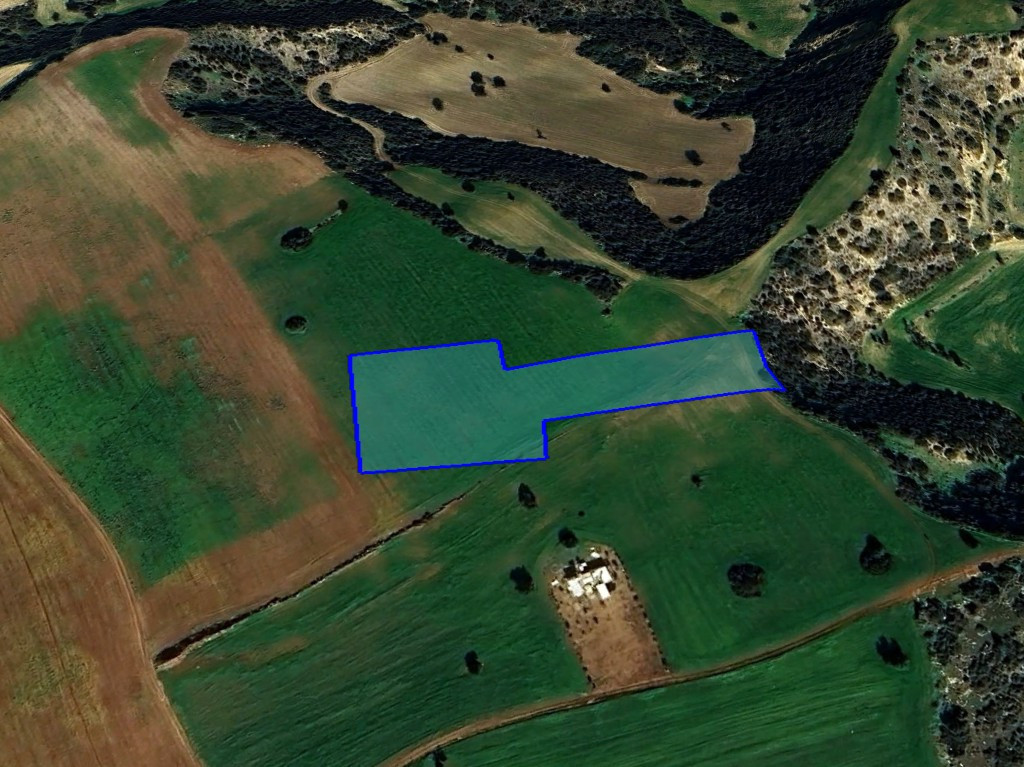 (Agricultural) in Agios Theodoros, Larnaca for Sale