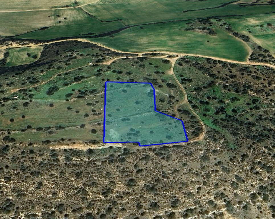 (Agricultural) in Agios Theodoros, Larnaca for Sale