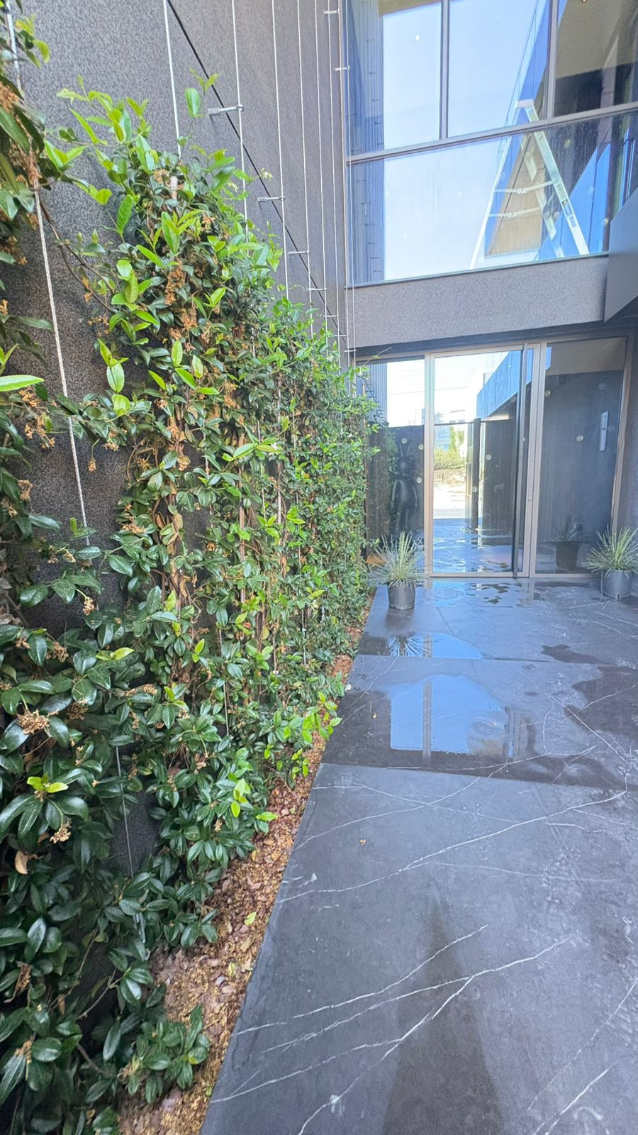 Apartment (Flat) in Germasoyia Tourist Area, Limassol for Rent