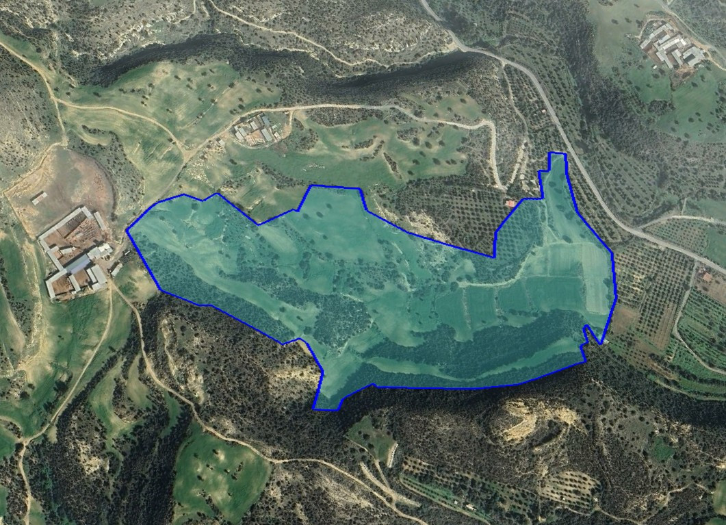 (Agricultural) in Agios Theodoros, Larnaca for Sale