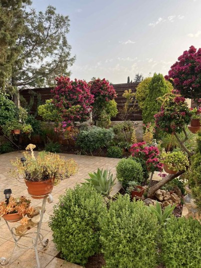 House (Semi detached) in Agios Spyridonas, Limassol for Sale