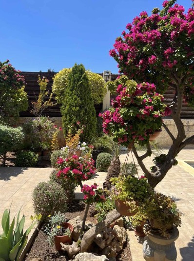 House (Semi detached) in Agios Spyridonas, Limassol for Sale