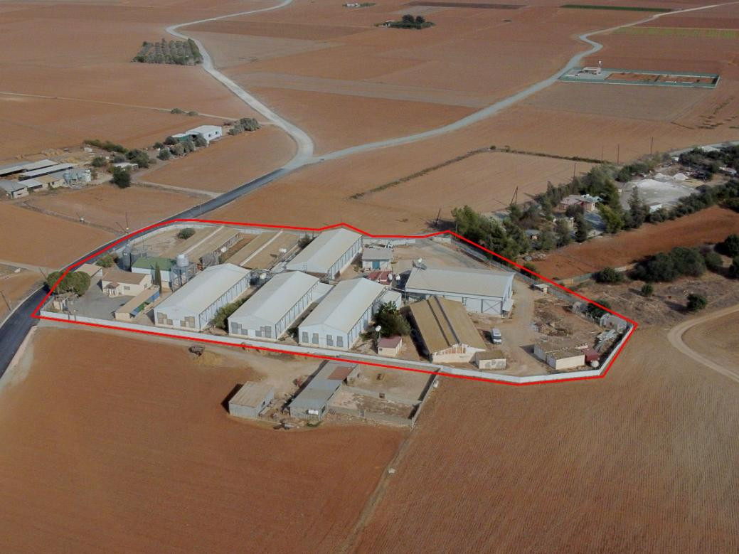 Commercial (Warehouse/Factory) in Xylotymvou, Larnaca for Sale