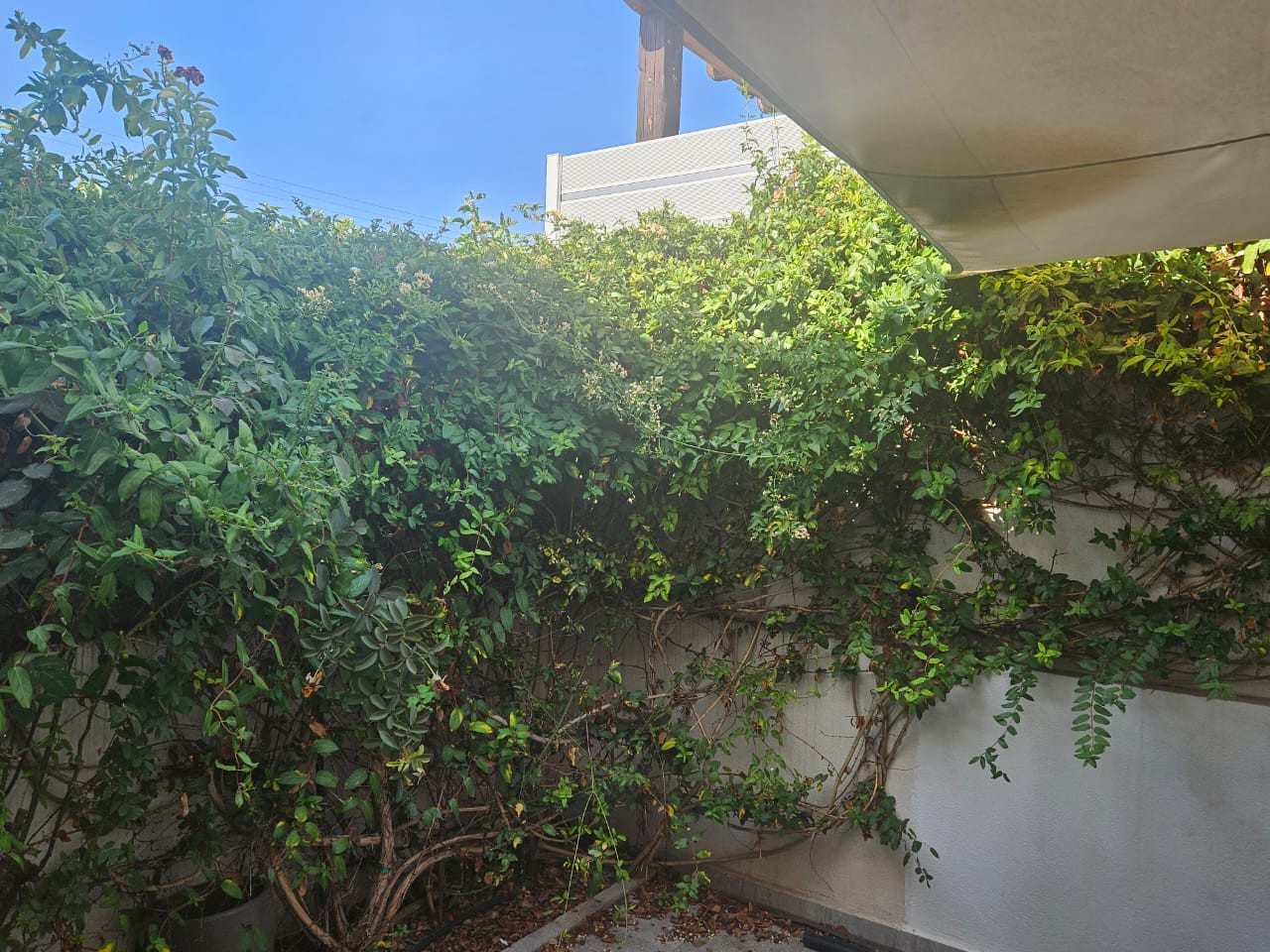 House (Semi detached) in Ekali, Limassol for Rent