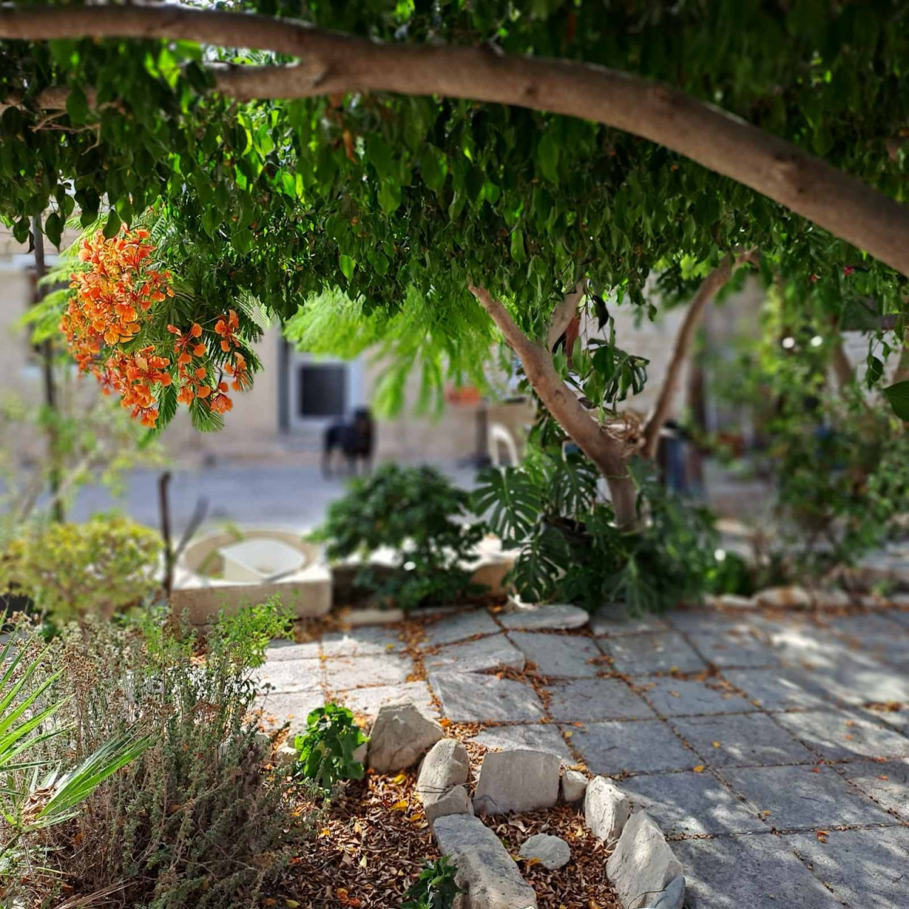 House (Semi detached) in Agios Tychonas, Limassol for Sale