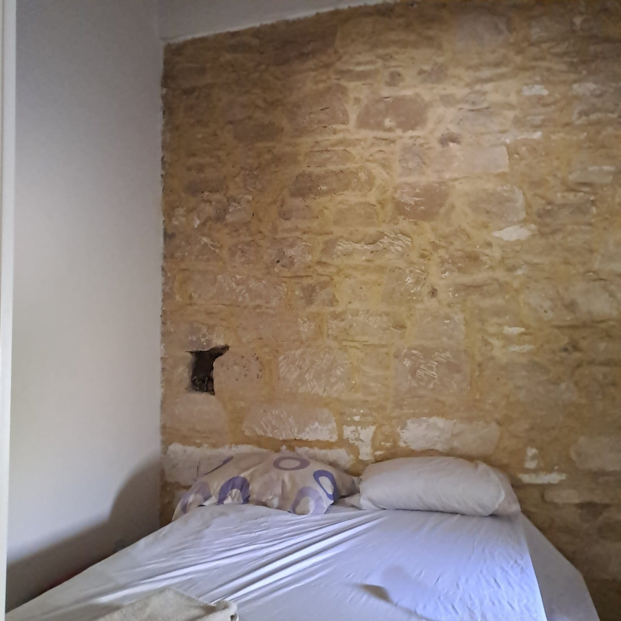 House (Semi detached) in Agios Tychonas, Limassol for Sale