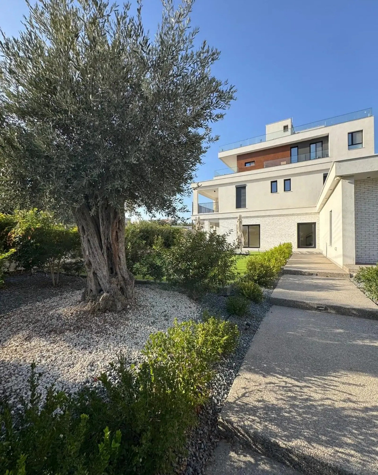 House (Detached) in Agios Athanasios, Limassol for Rent