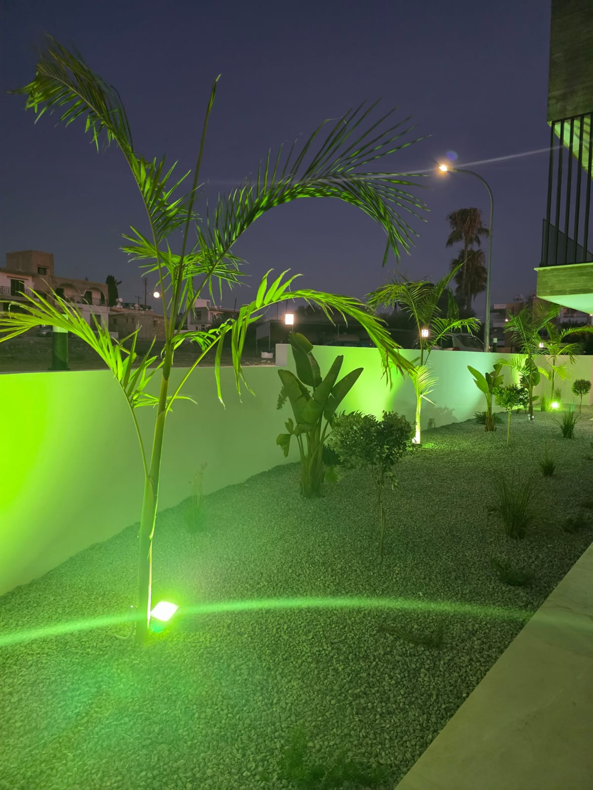 Apartment (Flat) in Chlorakas, Paphos for Rent