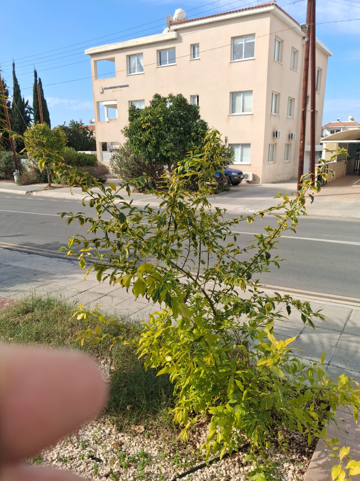 House (Maisonette) in Universal, Paphos for Rent