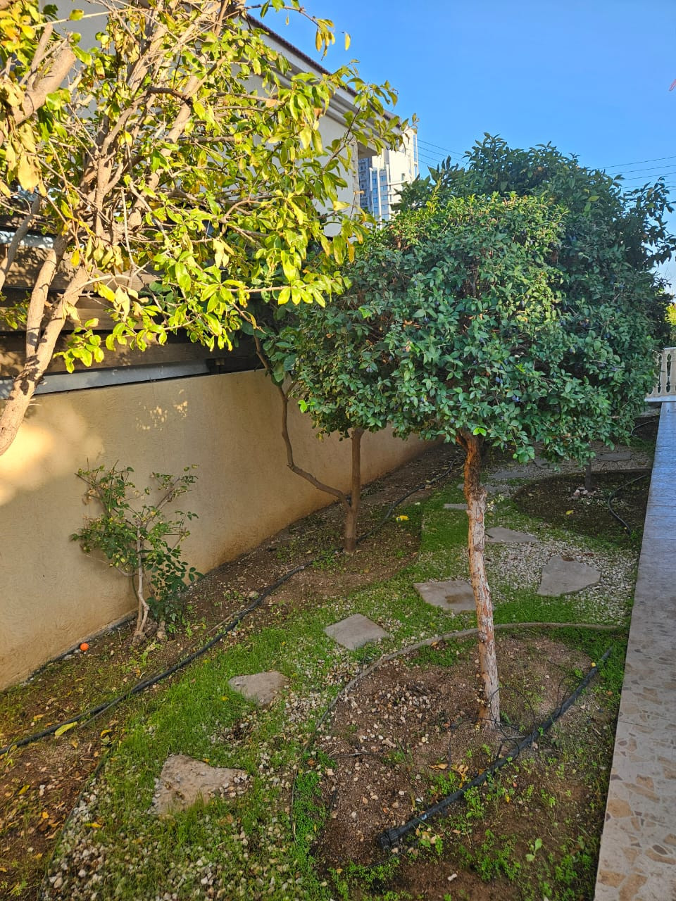 House (Detached) in Germasoyia Tourist Area, Limassol for Rent