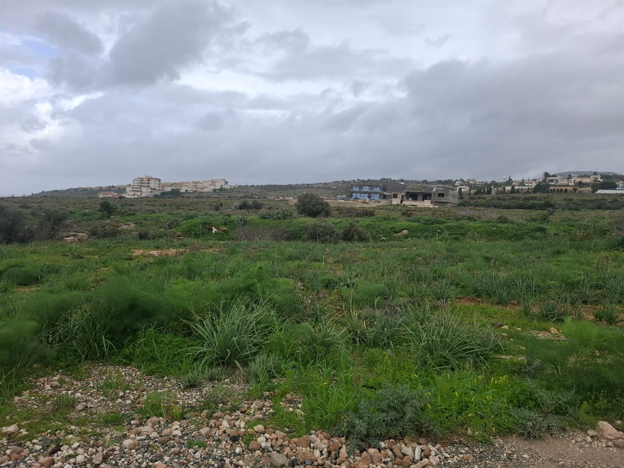 (Residential) in Tremithousa, Paphos for Sale