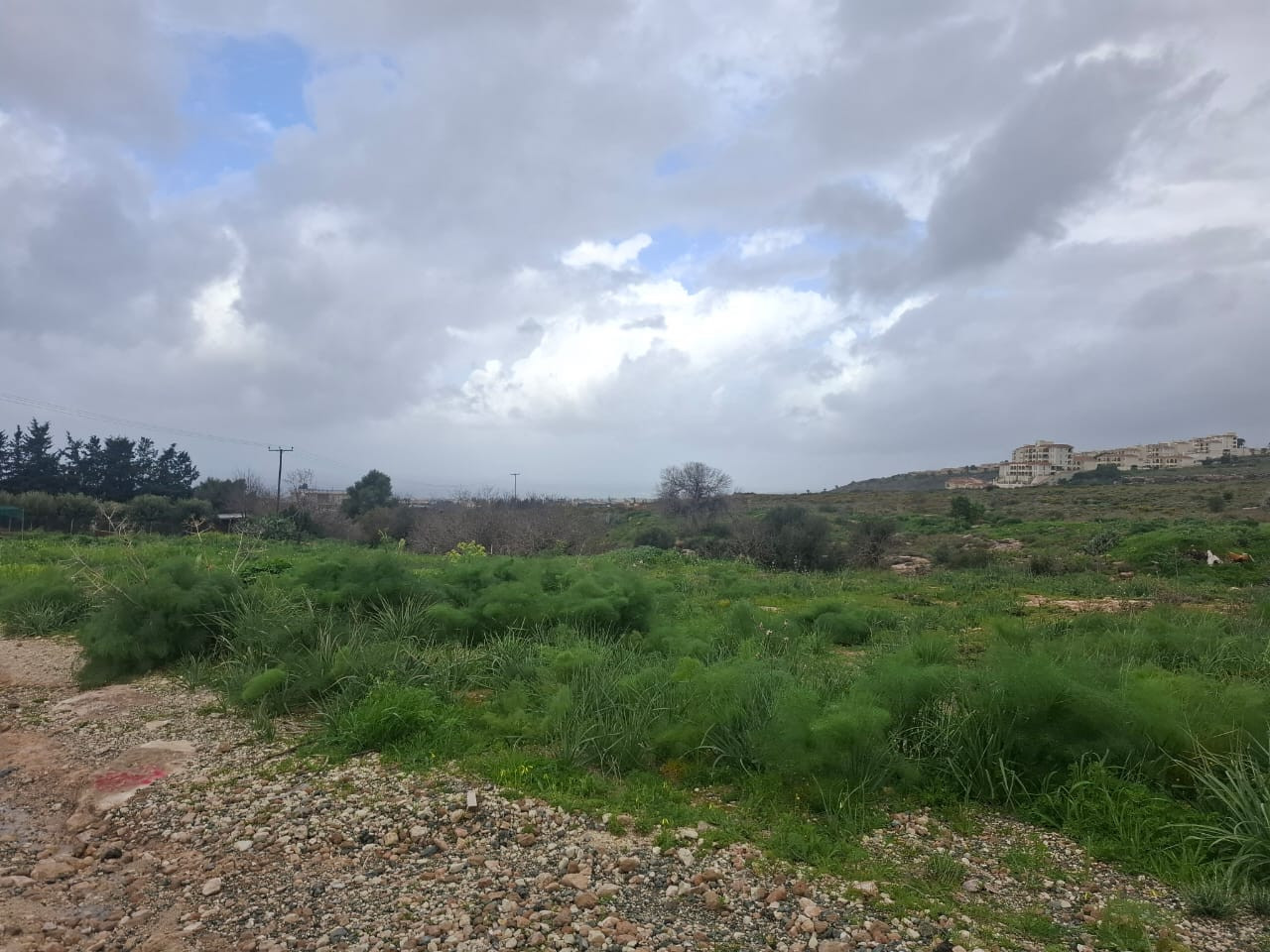 (Residential) in Tremithousa, Paphos for Sale