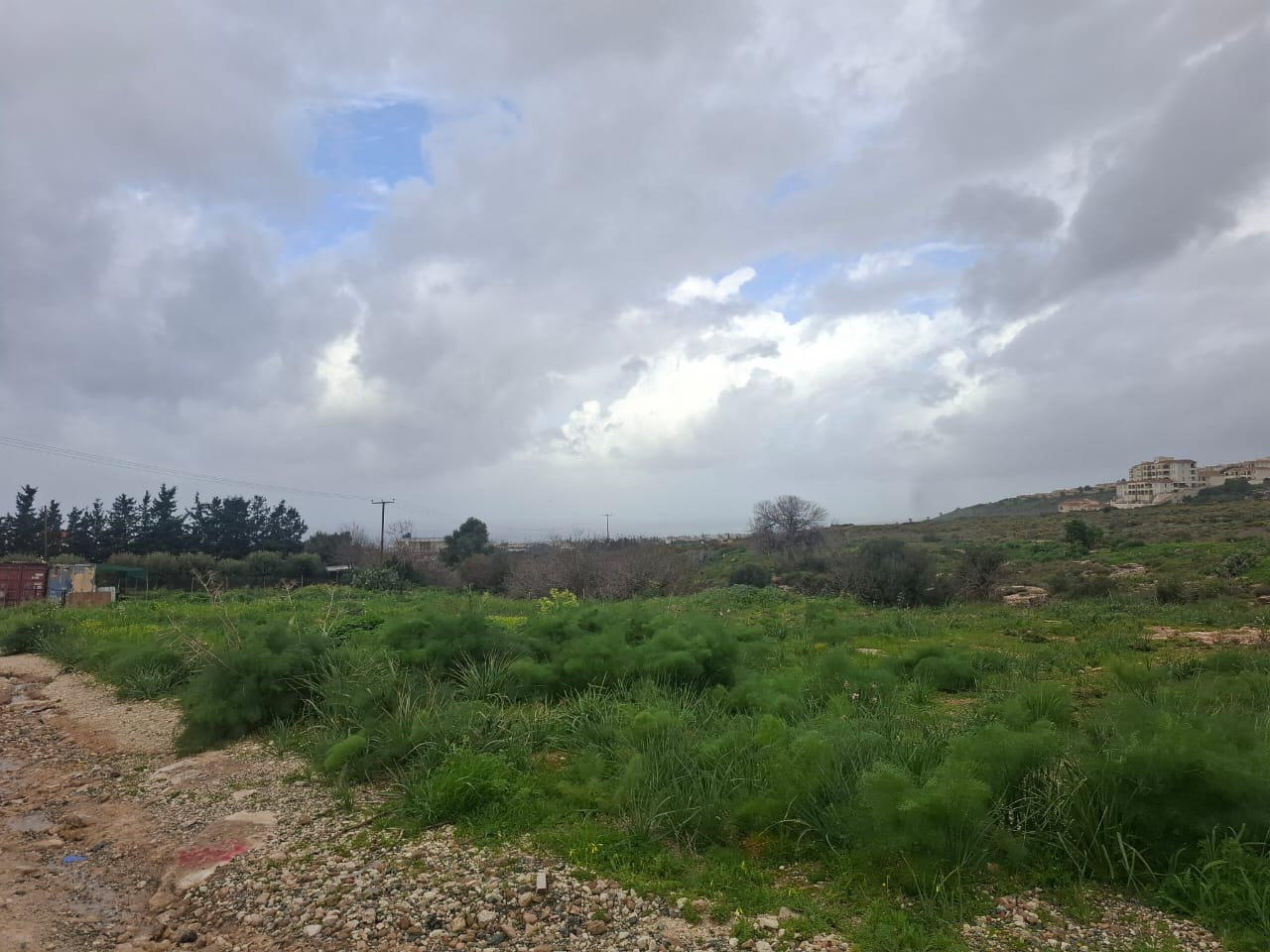 (Residential) in Tremithousa, Paphos for Sale