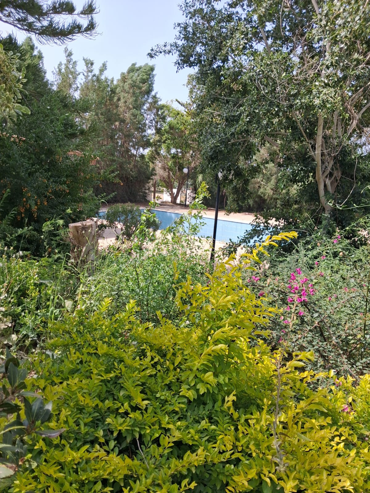 (Residential) in Chlorakas, Paphos for Sale