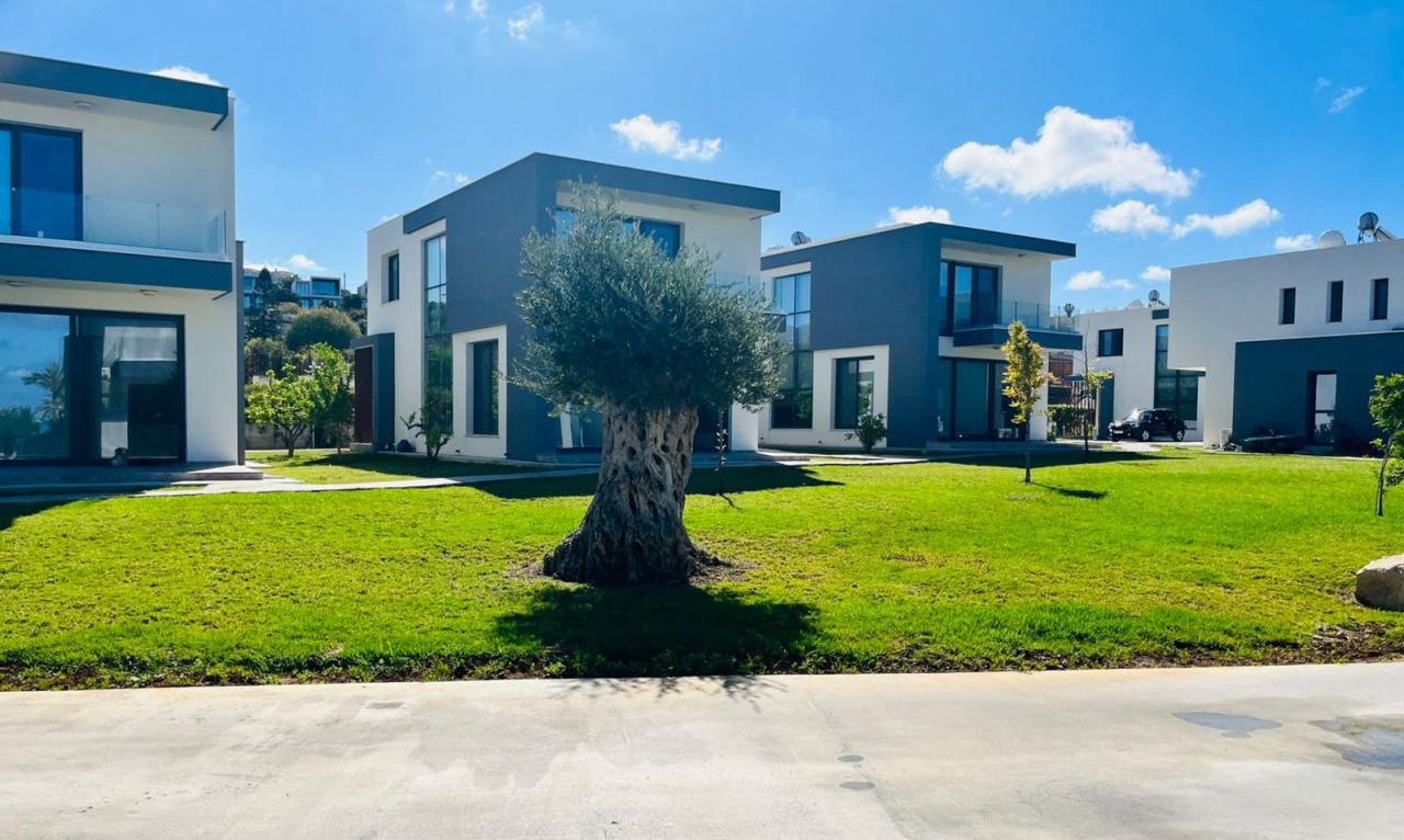 House (Detached) in Kissonerga, Paphos for Sale