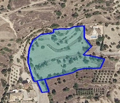 (Residential) in Paramytha, Limassol for Sale