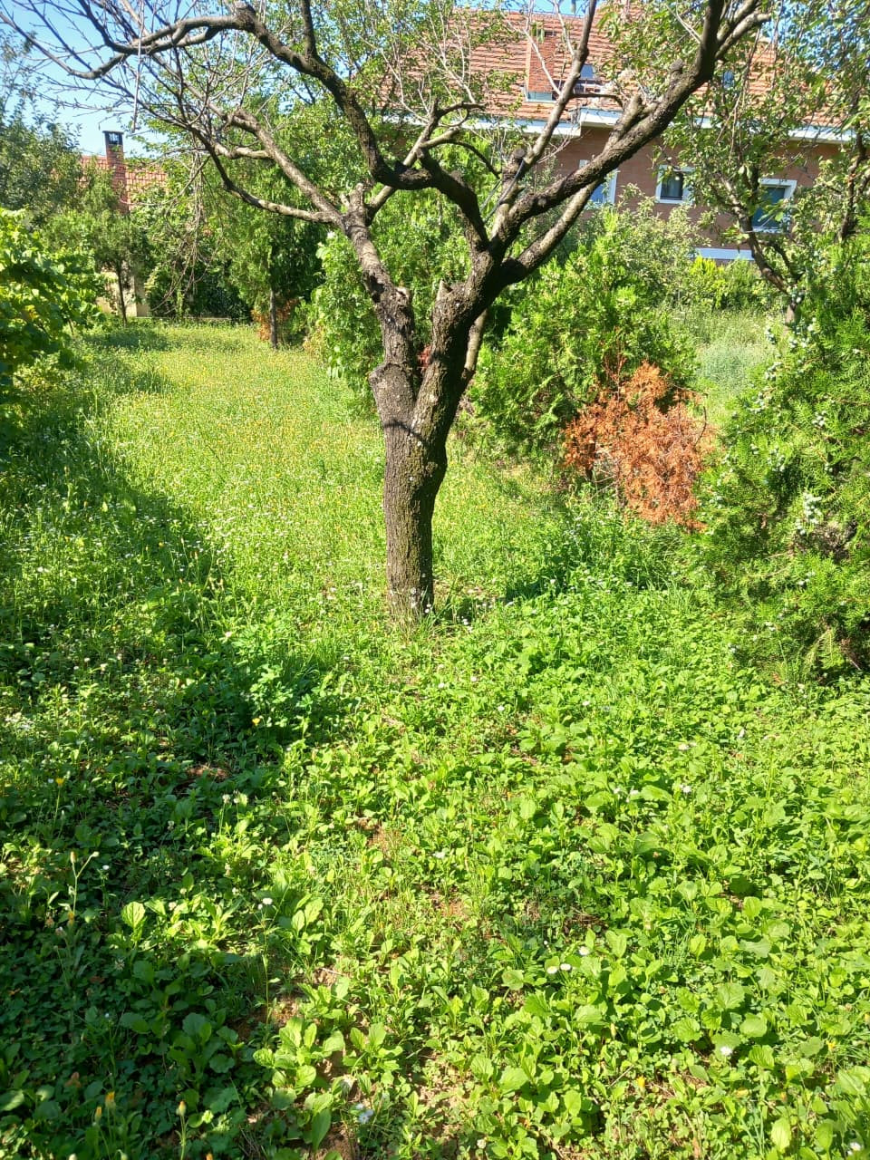 Investment (Project) in VOZDOVAC, Belgrade for Sale