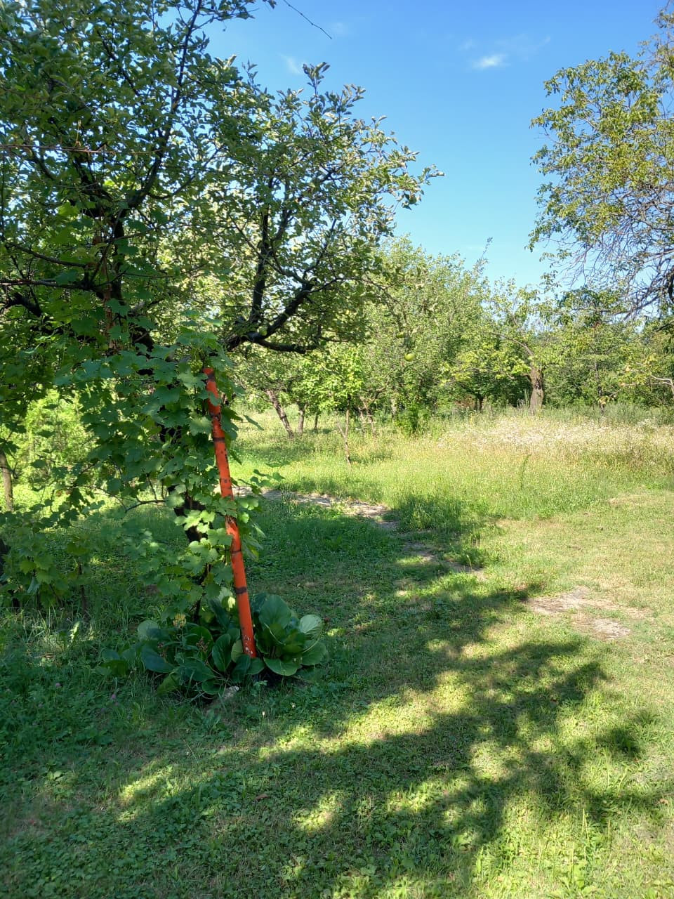 Investment (Project) in VOZDOVAC, Belgrade for Sale