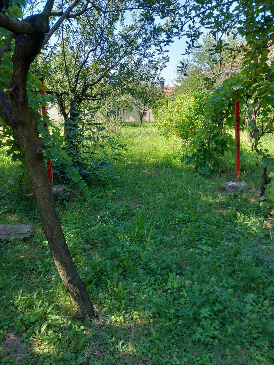 Investment (Project) in VOZDOVAC, Belgrade for Sale