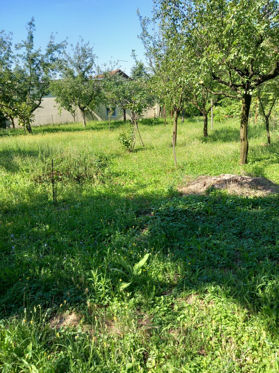 Investment (Project) in VOZDOVAC, Belgrade for Sale