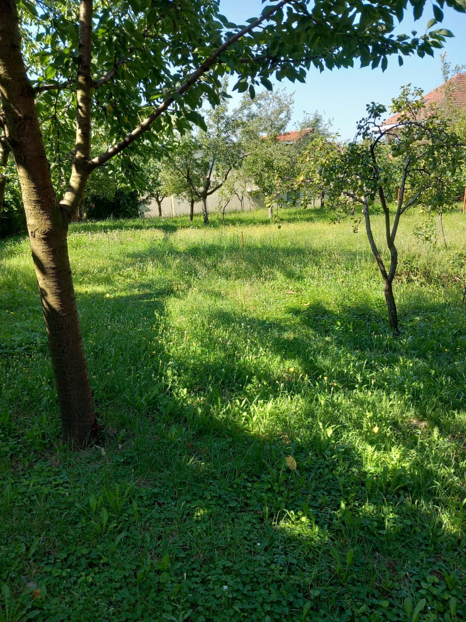 Investment (Project) in VOZDOVAC, Belgrade for Sale