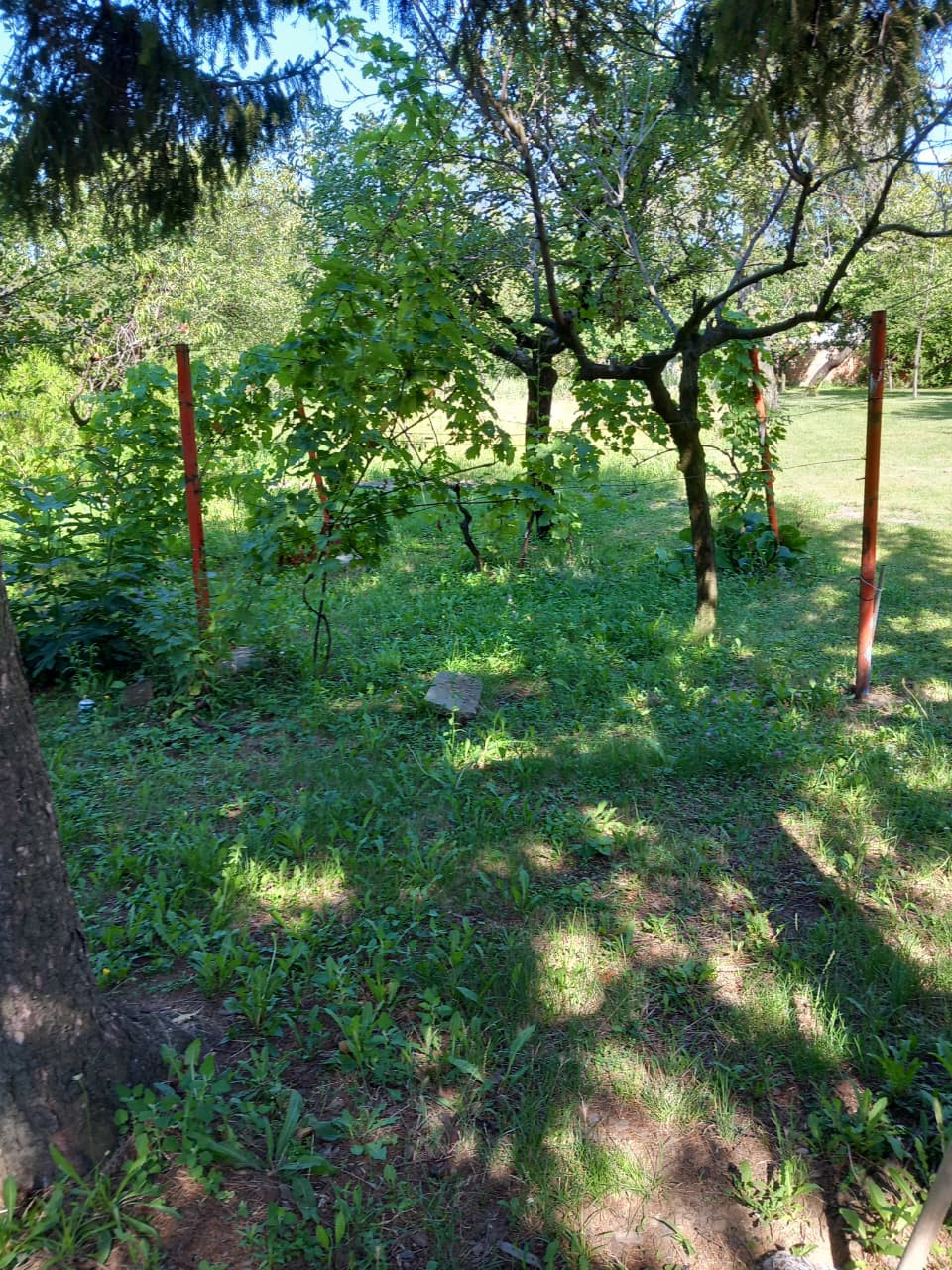 Investment (Project) in VOZDOVAC, Belgrade for Sale